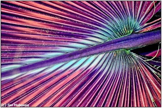 Current EI Photo Gallery