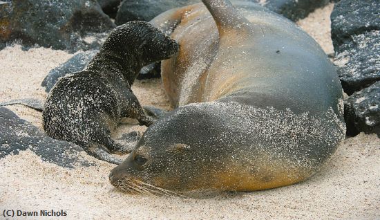 Missing Image: i_0013.jpg - Sandy Picnic