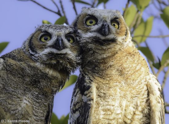 Missing Image: i_0021.jpg - What was that