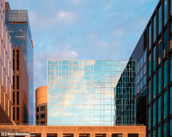 Missing Image: i_0027.jpg - Sky Shades