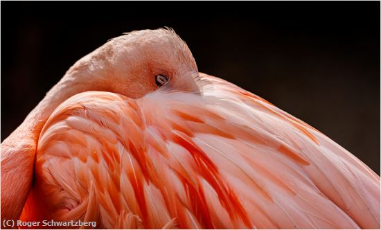 Missing Image: i_0017.jpg - Sleepy Eye