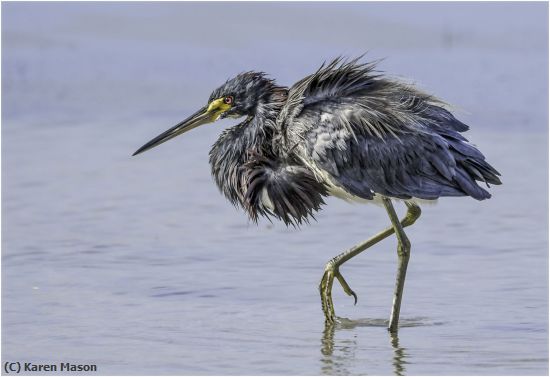 Missing Image: i_0047.jpg - Strolling