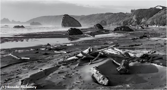 Missing Image: i_0058.jpg - Beach in Oregon