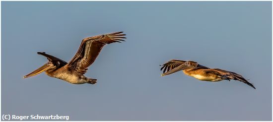 Missing Image: i_0004.jpg - Follow the Leader