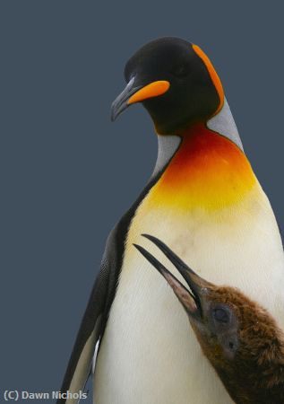 Missing Image: i_0026.jpg - Still Hungry