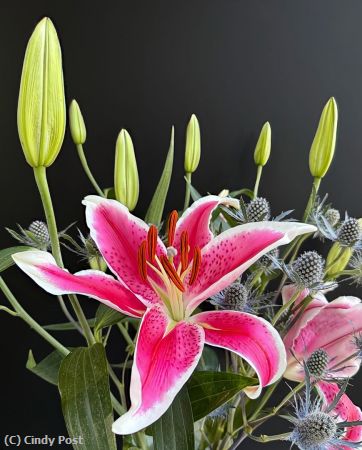 Missing Image: i_0038.jpg - Oriental lily arrangement