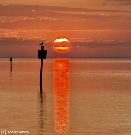 Missing Image: i_0041.jpg - sunrise in st pete