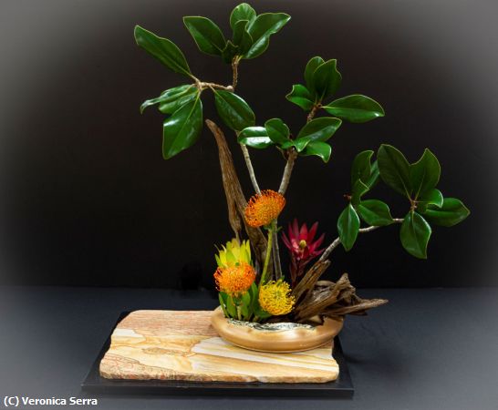 Missing Image: i_0043.jpg - Harmony in Wild Bloom