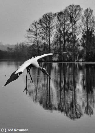 Missing Image: i_0060.jpg - incoming