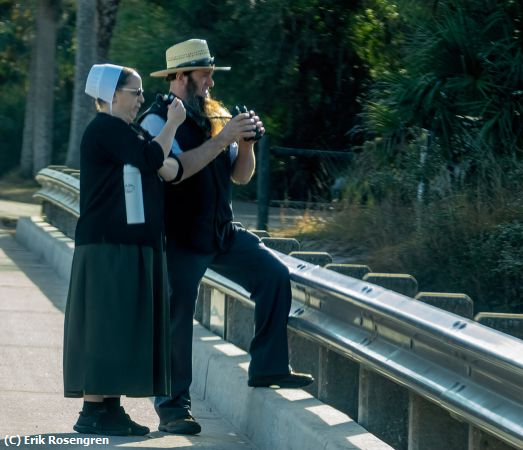 Missing Image: i_0010.jpg - Amish-couple-enjoying-the-park