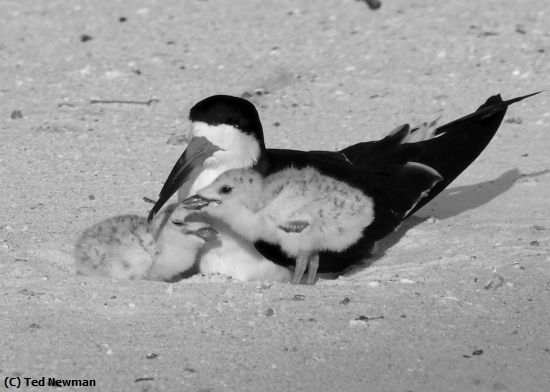 Missing Image: i_0046.jpg - family hug