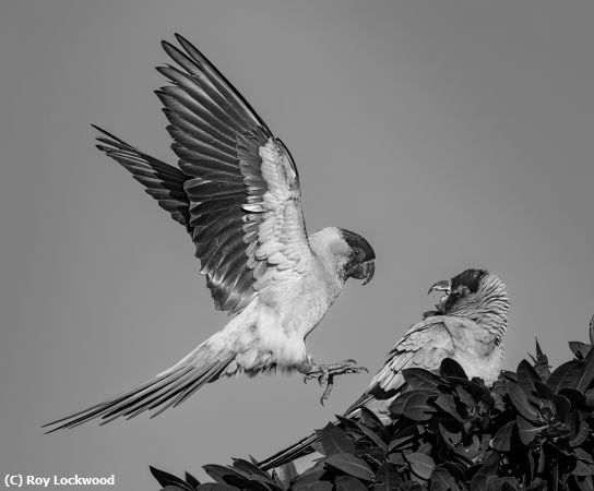 Missing Image: i_0050.jpg - My Spot