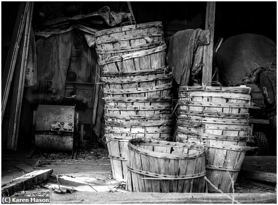 Missing Image: i_0051.jpg - Basket Case