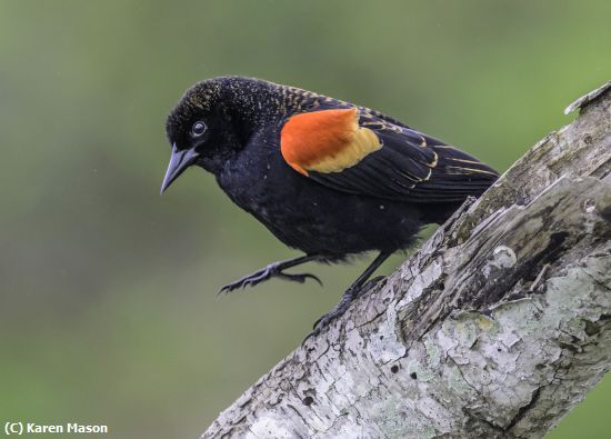 Missing Image: i_0030.jpg - GoingDown