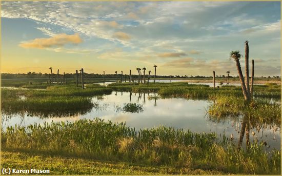 Missing Image: i_0044.jpg - SaveIt