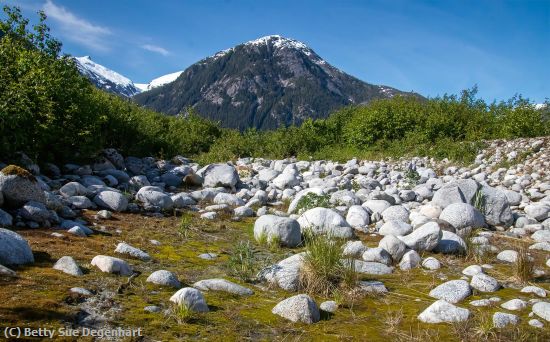 Missing Image: i_0049.jpg - A-Rocky-Path