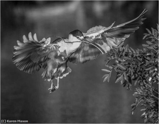 Missing Image: i_0058.jpg - BringingItHome