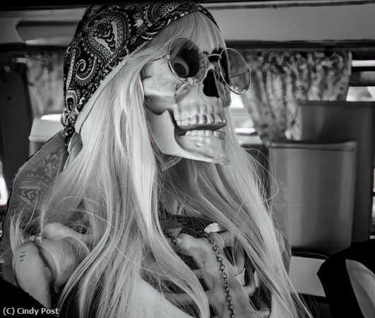 Missing Image: i_0071.jpg - Hippie Skellie