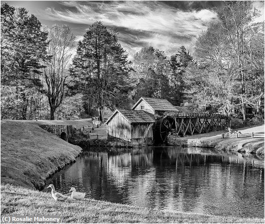 Missing Image: i_0072.jpg - Mill and Ducks