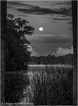 Missing Image: i_0074.jpg - Morning Moon