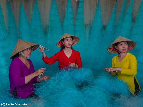 Missing Image: i_0018.jpg - Sewing the Nets