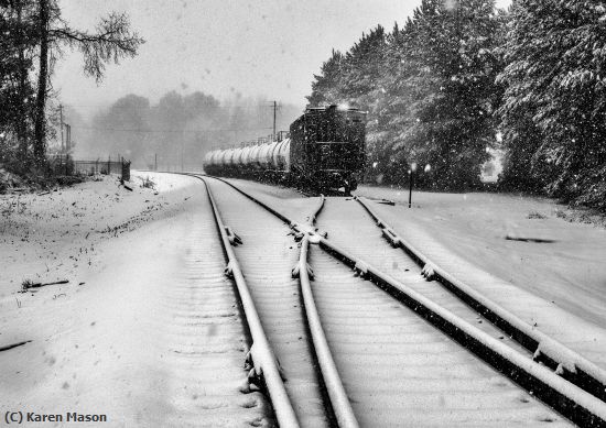 Missing Image: i_0069.jpg - Snowbound