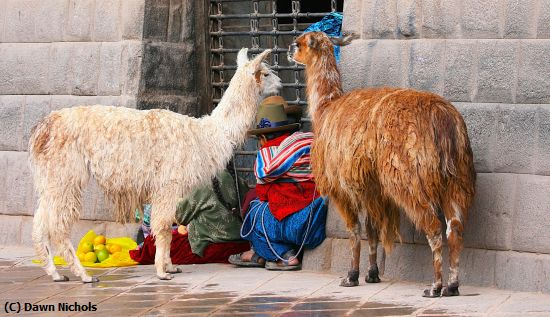 Missing Image: i_0031.jpg - Life On The Street