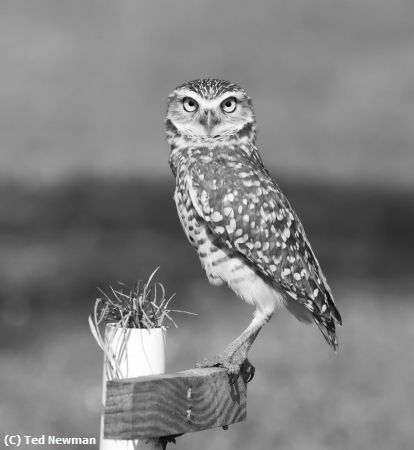 Missing Image: i_0058.jpg - what are you looking at