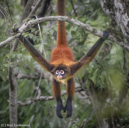 Missing Image: i_0012.jpg - Hanging Out