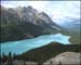 ei4_Veronica_Serra_Peyto_Lake_in_the_Canadian_Rockies